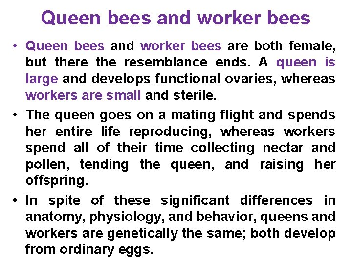 Queen bees and worker bees • Queen bees and worker bees are both female,