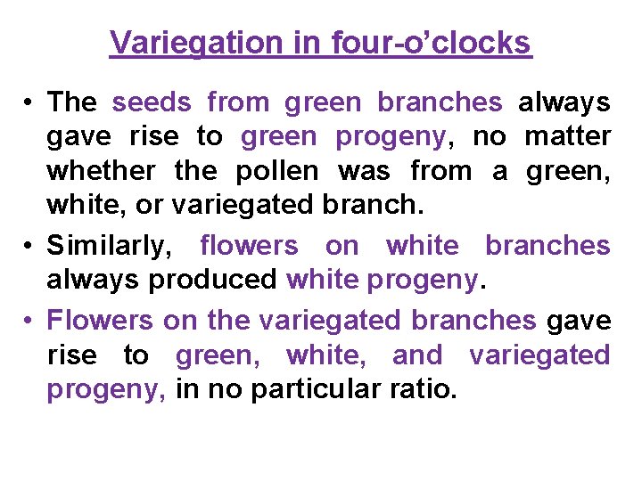 Variegation in four-o’clocks • The seeds from green branches always gave rise to green