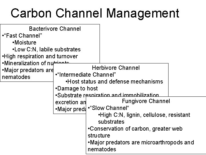 Carbon Channel Management Bacterivore Channel • “Fast Channel” • Moisture • Low C: N,