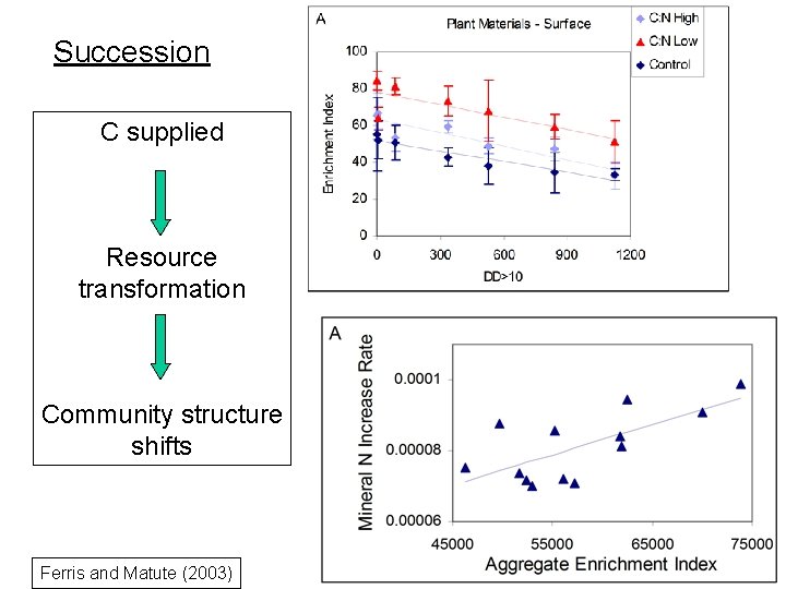 Succession C supplied Resource transformation Community structure shifts Ferris and Matute (2003) 