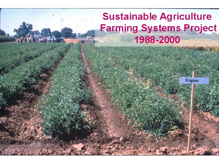 Sustainable Agriculture Farming Systems Project 1988 -2000 