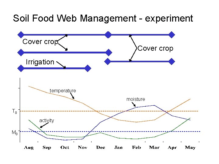 Soil Food Web Management - experiment Cover crop Irrigation temperature moisture T 0 activity
