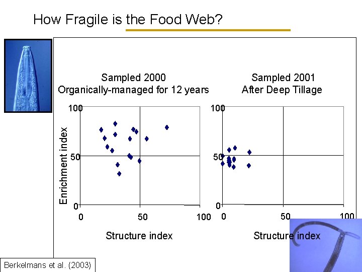 How Fragile is the Food Web? Sampled 2000 Organically-managed for 12 years Enrichment index