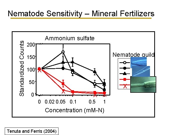 Standardized Counts Nematode Sensitivity – Mineral Fertilizers Ammonium sulfate 200 Nematode guild 150 100