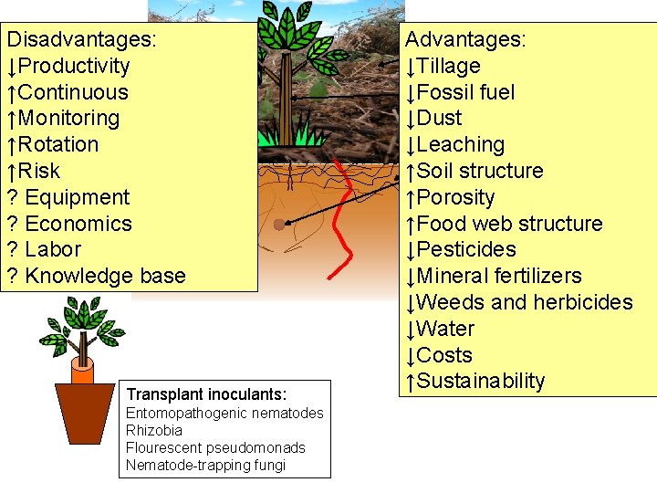 Disadvantages: ↓Productivity ↑Continuous ↑Monitoring ↑Rotation ↑Risk ? Equipment ? Economics ? Labor ? Knowledge