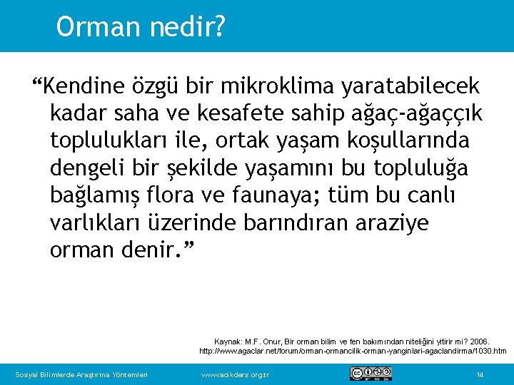 Orman nedir? “Kendine özgü bir mikroklima yaratabilecek kadar saha ve kesafete sahip ağaç-ağaççık toplulukları