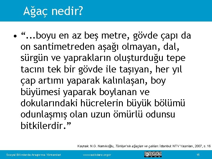 Ağaç nedir? • “. . . boyu en az beş metre, gövde çapı da