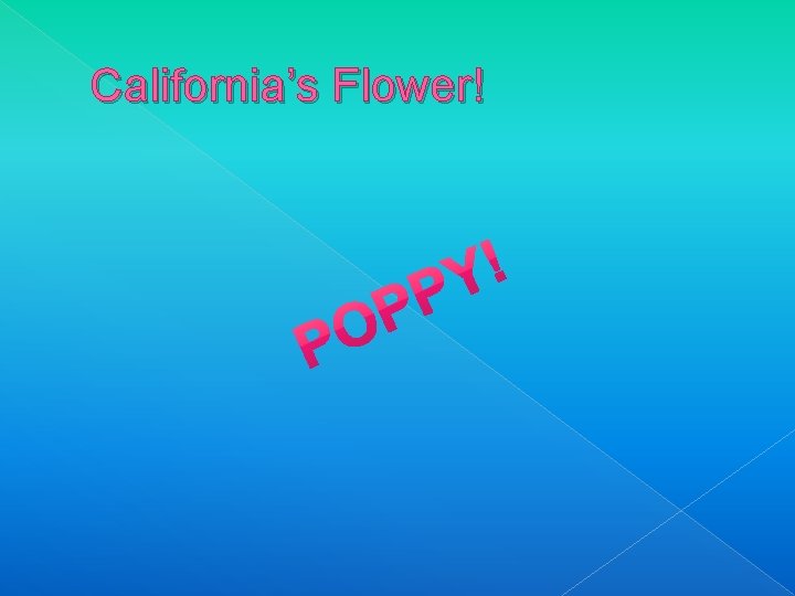 California’s Flower! 