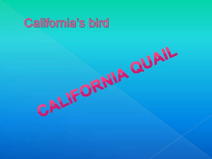 California’s bird 