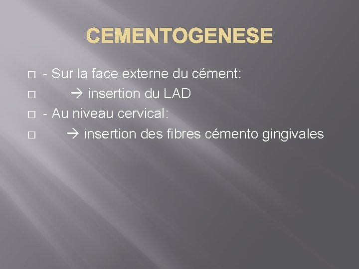 CEMENTOGENESE � � - Sur la face externe du cément: insertion du LAD -