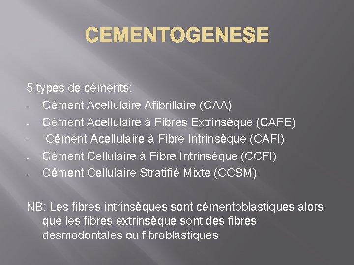 CEMENTOGENESE 5 types de céments: Cément Acellulaire Afibrillaire (CAA) Cément Acellulaire à Fibres Extrinsèque