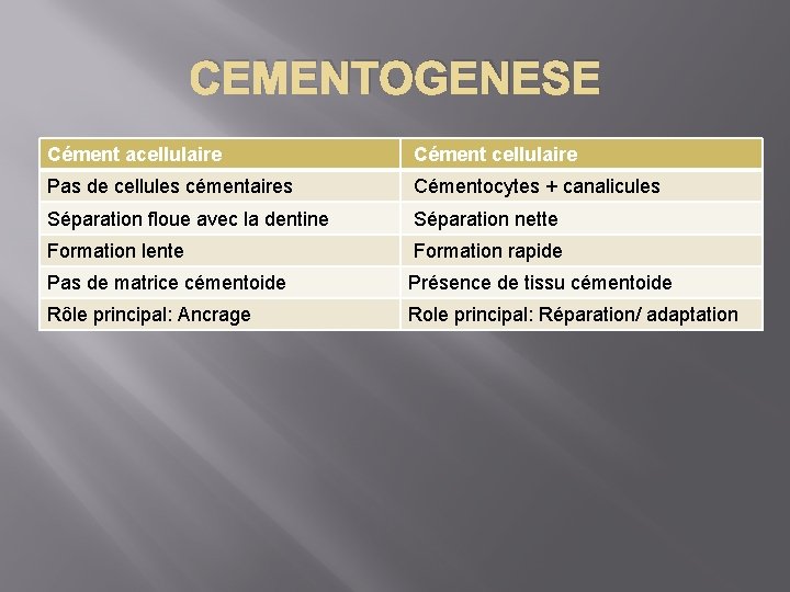 CEMENTOGENESE Cément acellulaire Cément cellulaire Pas de cellules cémentaires Cémentocytes + canalicules Séparation floue