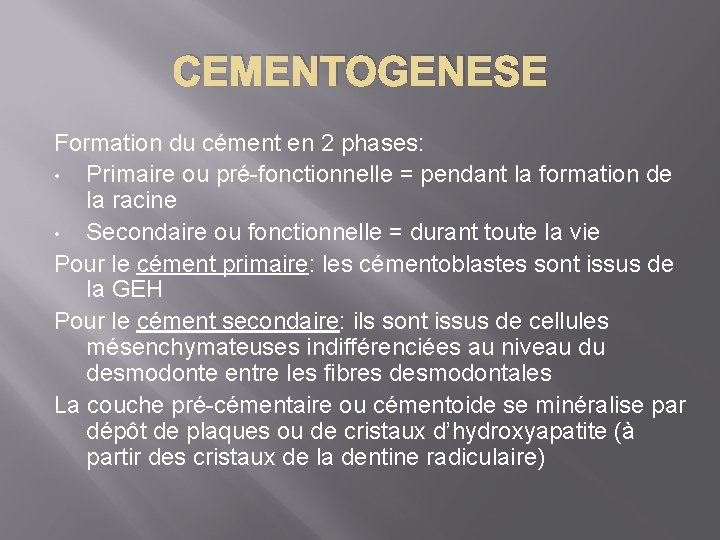 CEMENTOGENESE Formation du cément en 2 phases: • Primaire ou pré-fonctionnelle = pendant la