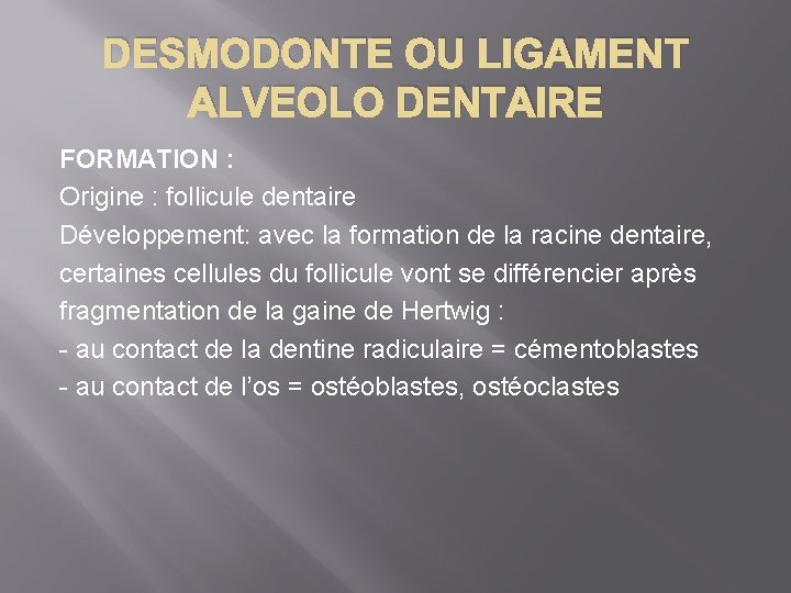 DESMODONTE OU LIGAMENT ALVEOLO DENTAIRE FORMATION : Origine : follicule dentaire Développement: avec la