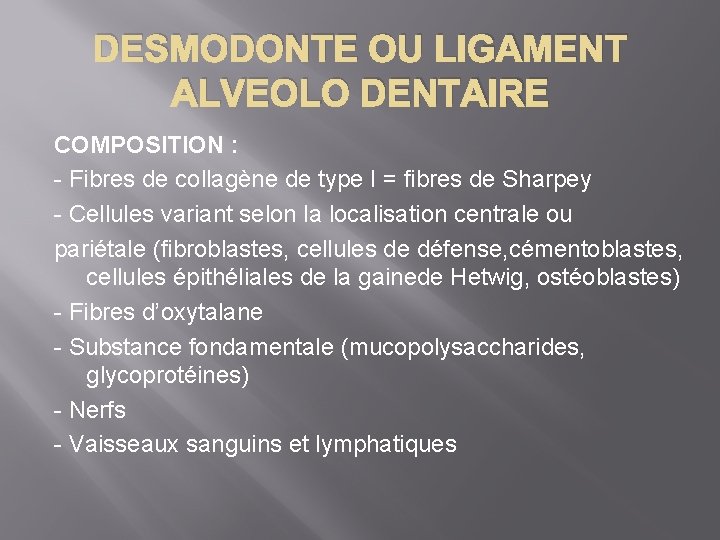 DESMODONTE OU LIGAMENT ALVEOLO DENTAIRE COMPOSITION : - Fibres de collagène de type I