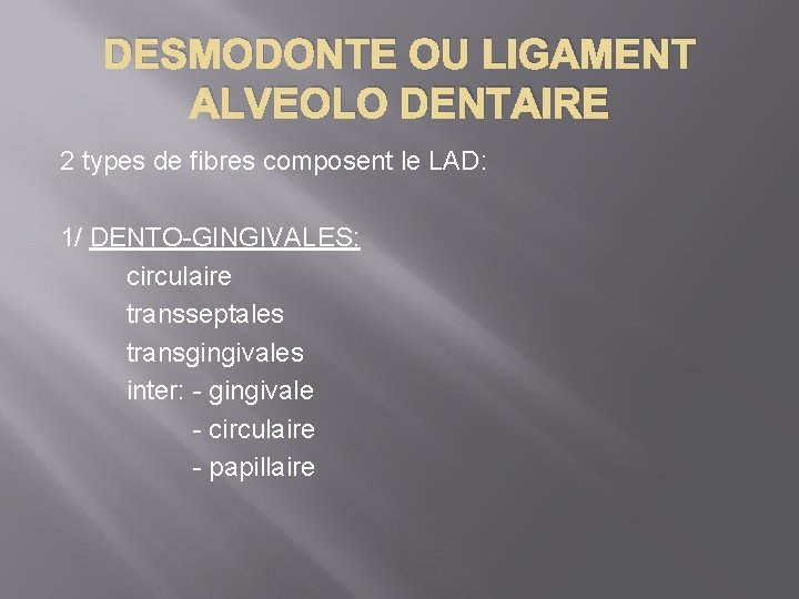 DESMODONTE OU LIGAMENT ALVEOLO DENTAIRE 2 types de fibres composent le LAD: 1/ DENTO-GINGIVALES: