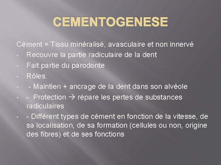 CEMENTOGENESE Cément = Tissu minéralisé, avasculaire et non innervé • Recouvre la partie radiculaire