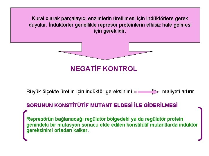 Kural olarak parçalayıcı enzimlerin üretilmesi için indüktörlere gerek duyulur. İndüktörler genellikle represör proteinlerin etkisiz