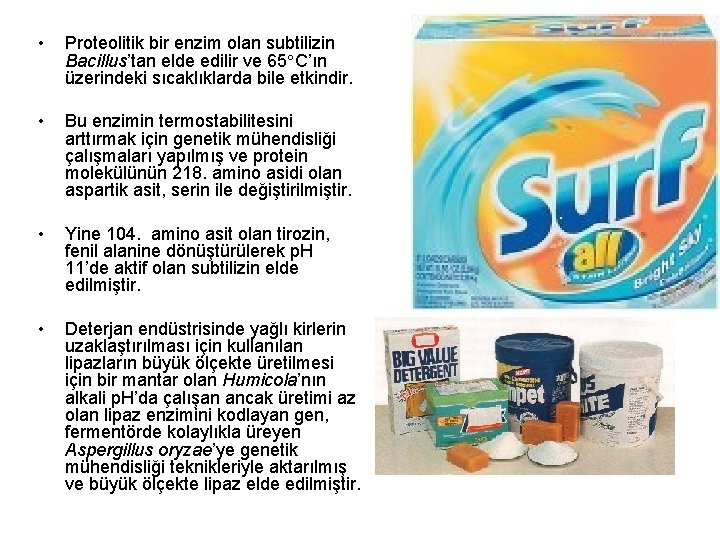  • Proteolitik bir enzim olan subtilizin Bacillus’tan elde edilir ve 65 C’ın üzerindeki