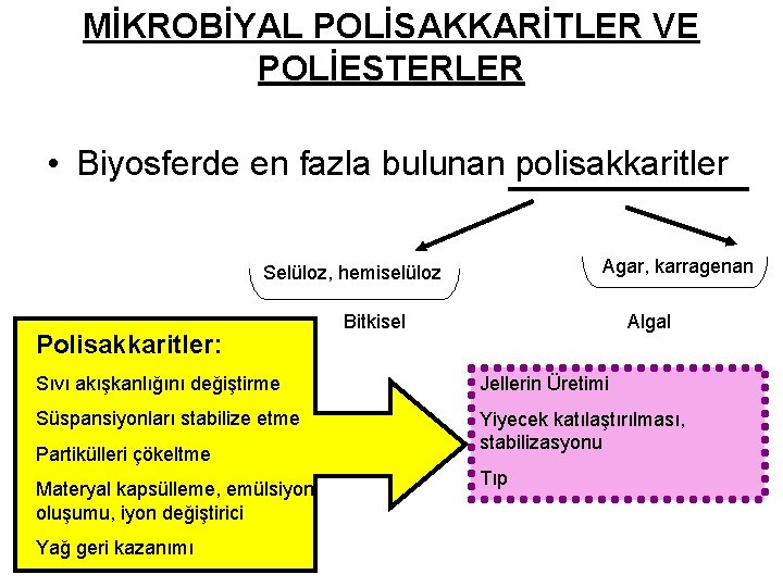 MİKROBİYAL POLİSAKKARİTLER VE POLİESTERLER • Biyosferde en fazla bulunan polisakkaritler Agar, karragenan Selüloz, hemiselüloz