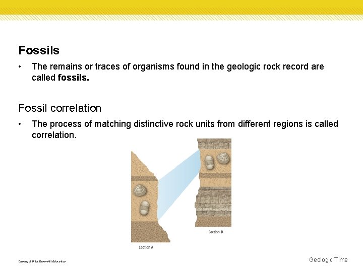 Fossils • The remains or traces of organisms found in the geologic rock record