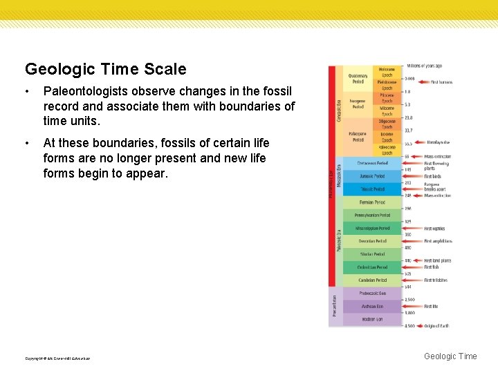 Geologic Time Scale • Paleontologists observe changes in the fossil record and associate them