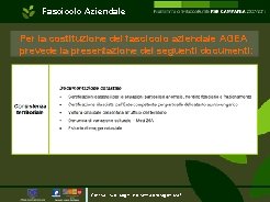 Fascicolo Aziendale Per la costituzione del fascicolo aziendale AGEA prevede la presentazione dei seguenti