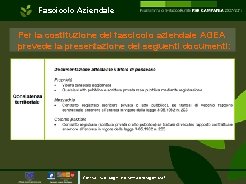 Fascicolo Aziendale Per la costituzione del fascicolo aziendale AGEA prevede la presentazione dei seguenti