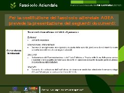 Fascicolo Aziendale Per la costituzione del fascicolo aziendale AGEA prevede la presentazione dei seguenti