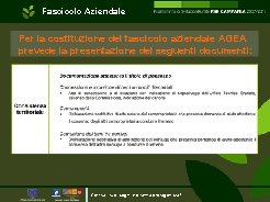 Fascicolo Aziendale Per la costituzione del fascicolo aziendale AGEA prevede la presentazione dei seguenti