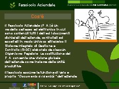 Fascicolo Aziendale Cos’è Il Fascicolo Aziendale (F. A. ) è un modello cartaceo ed