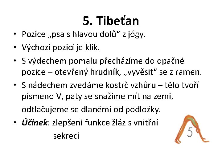 5. Tibeťan • Pozice „psa s hlavou dolů“ z jógy. • Výchozí pozicí je