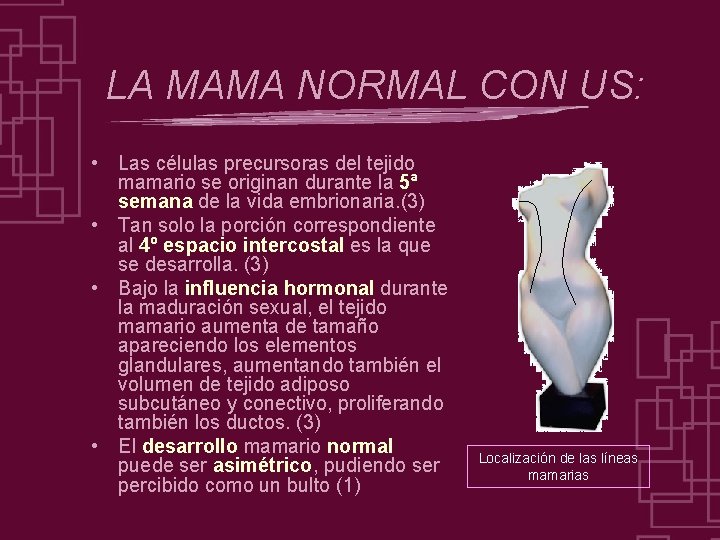 LA MAMA NORMAL CON US: • Las células precursoras del tejido mamario se originan