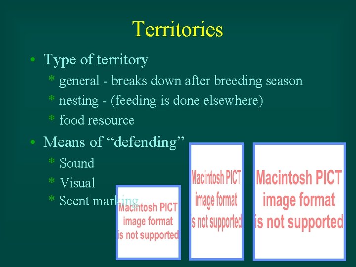Territories • Type of territory * general - breaks down after breeding season *