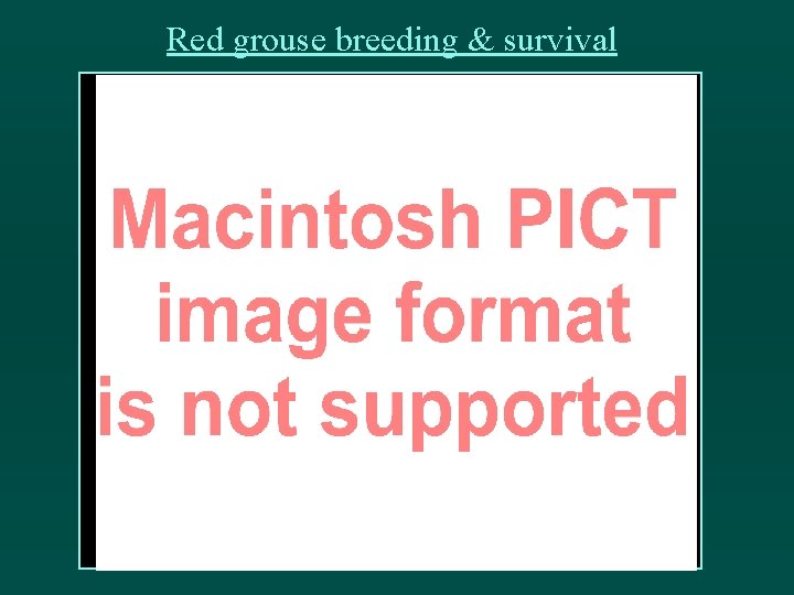 Red grouse breeding & survival 