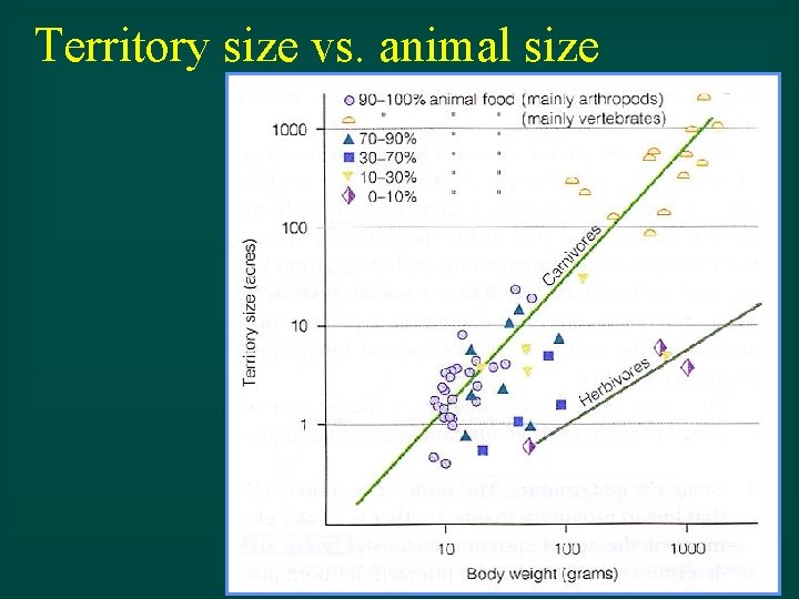 Territory size vs. animal size 