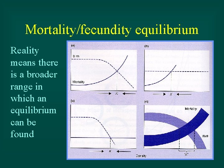 Mortality/fecundity equilibrium Reality means there is a broader range in which an equilibrium can