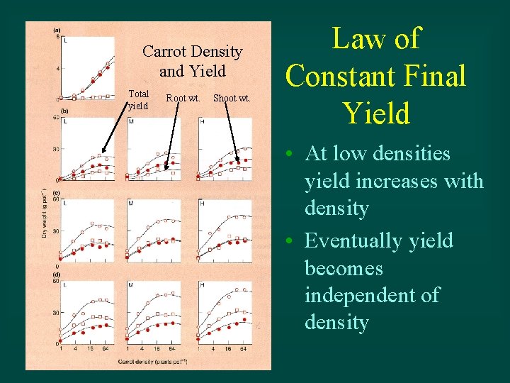 L, M, N = nutrient levels Carrot Density and Yield Total yield Root wt.