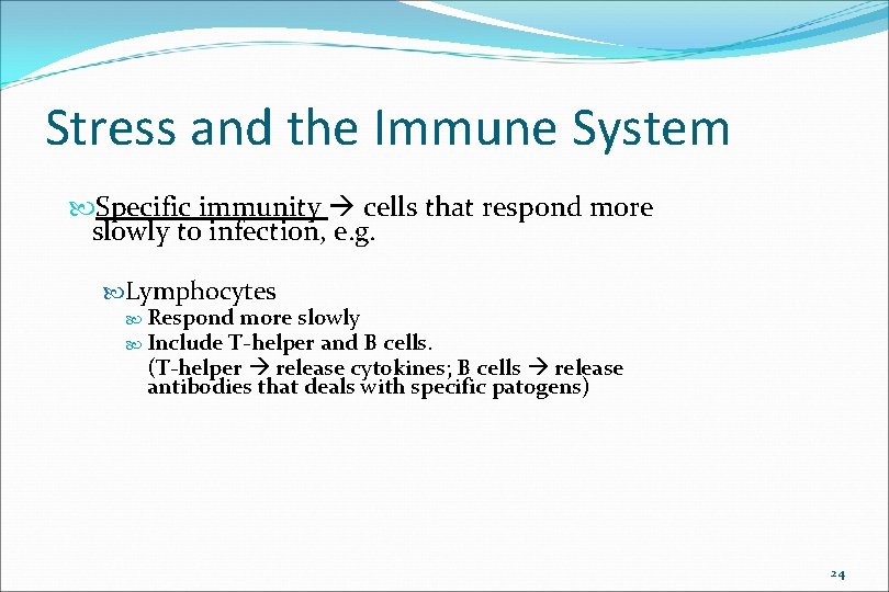 Stress and the Immune System Specific immunity cells that respond more slowly to infection,