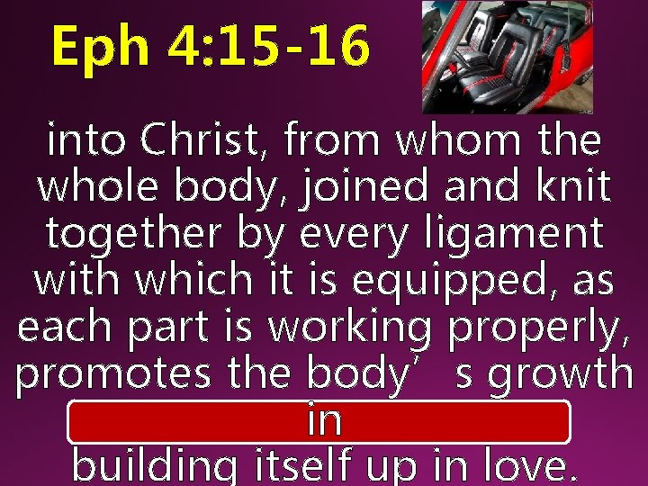 Eph 4: 15 -16 into Christ, from whom the whole body, joined and knit