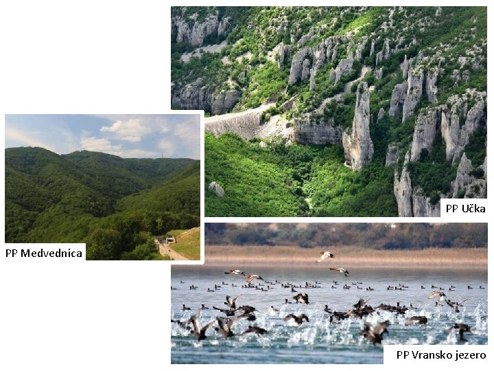 PP Učka PP Medvednica PP Vransko jezero 