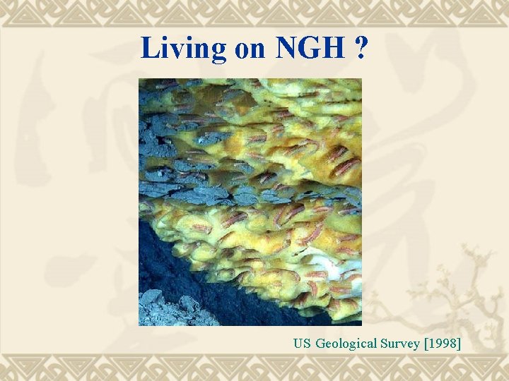Living on NGH ? US Geological Survey [1998] 