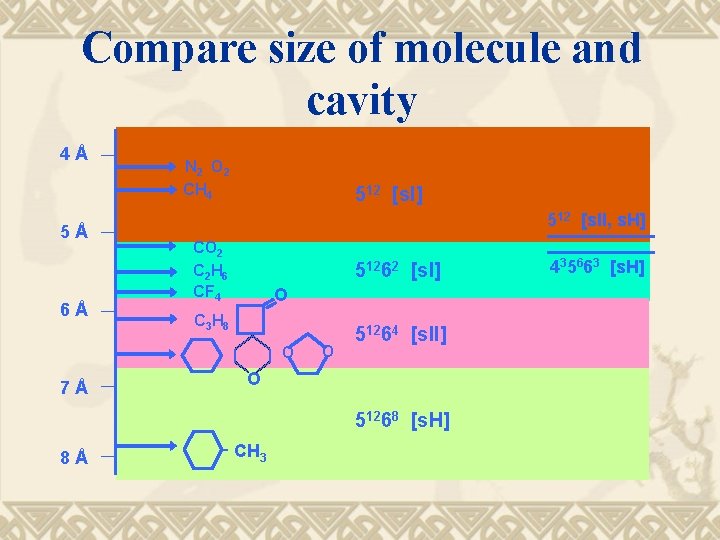 Compare size of molecule and cavity 4Å 5Å 6Å N 2 O 2 CH