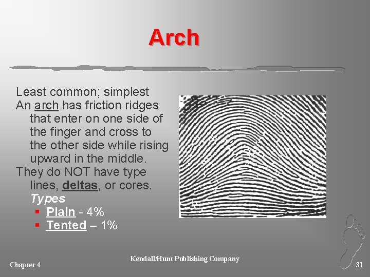 Arch Least common; simplest An arch has friction ridges that enter on one side