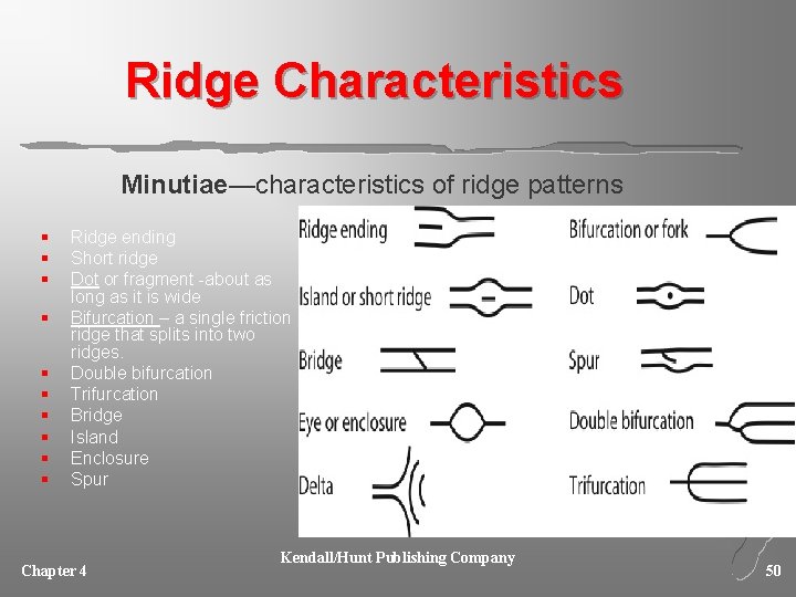 Ridge Characteristics Minutiae—characteristics of ridge patterns § § § § § Ridge ending Short