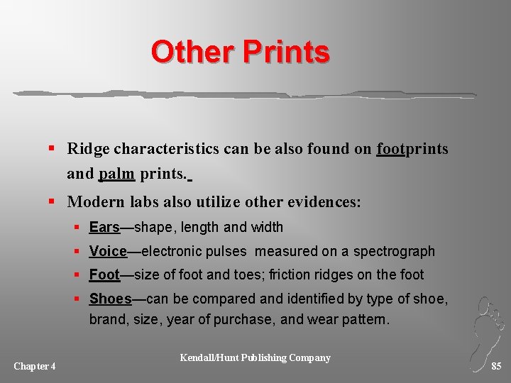 Other Prints § Ridge characteristics can be also found on footprints and palm prints.