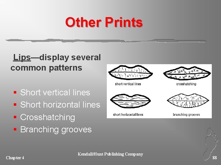 Other Prints Lips—display several common patterns § § Short vertical lines Short horizontal lines