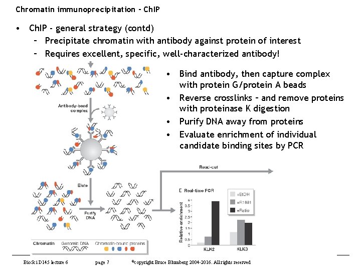 Chromatin immunoprecipitation - Ch. IP • Ch. IP - general strategy (contd) – Precipitate