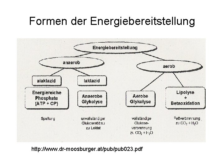 Formen der Energiebereitstellung http: //www. dr-moosburger. at/pub 023. pdf 