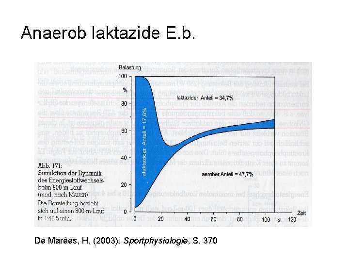 Anaerob laktazide E. b. De Marées, H. (2003). Sportphysiologie, S. 370 